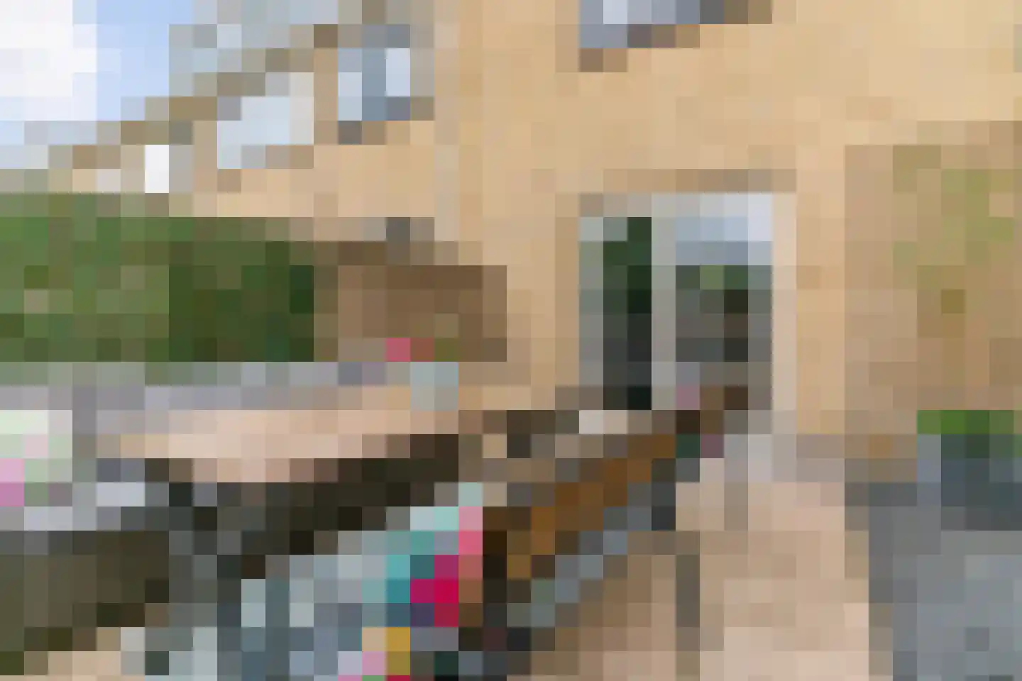 Rameaulaantje 17 Aalsmeer thumbnail 34