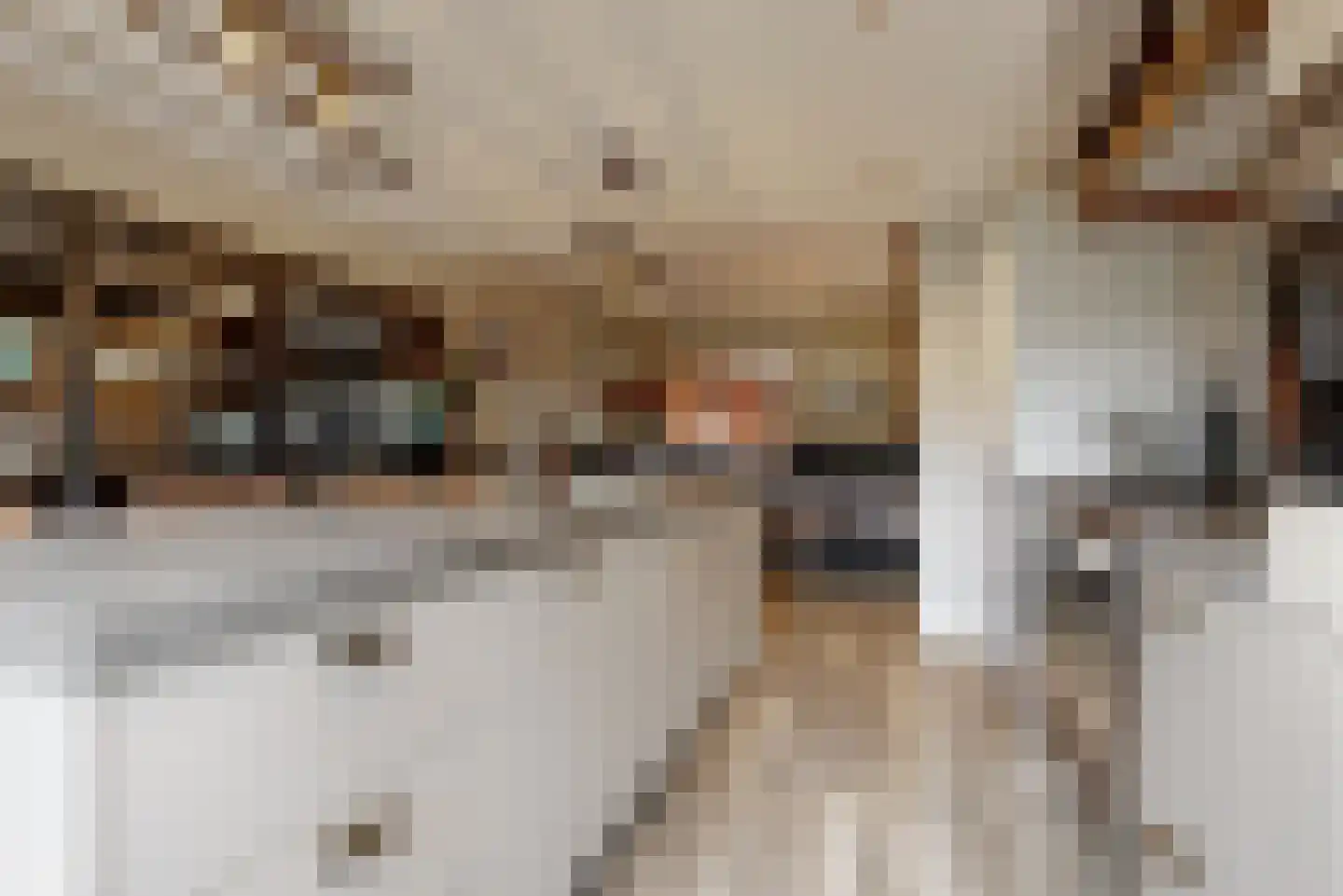 Rameaulaantje 17 Aalsmeer thumbnail 7