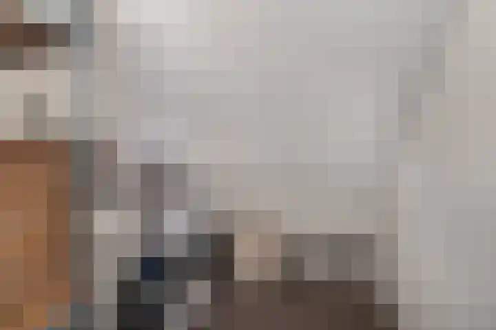 Rameaustraat 19 's-Hertogenbosch thumbnail 18