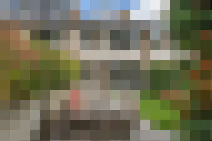 Rameaustraat 19 's-Hertogenbosch thumbnail 24