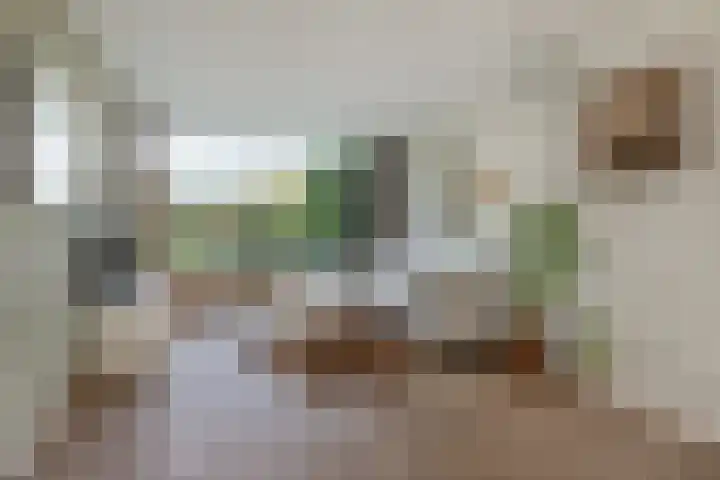 Rameaustraat 19 's-Hertogenbosch thumbnail 7