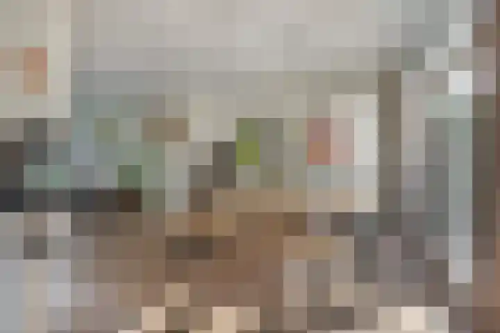 Rameaustraat 19 's-Hertogenbosch thumbnail 8