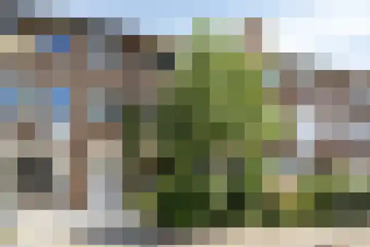 Rameaustraat 6 Eindhoven thumbnail 10