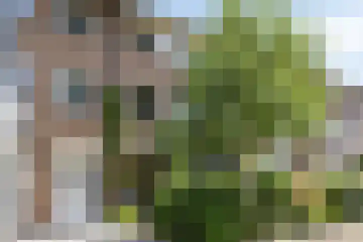Rameaustraat 6 Eindhoven thumbnail 11