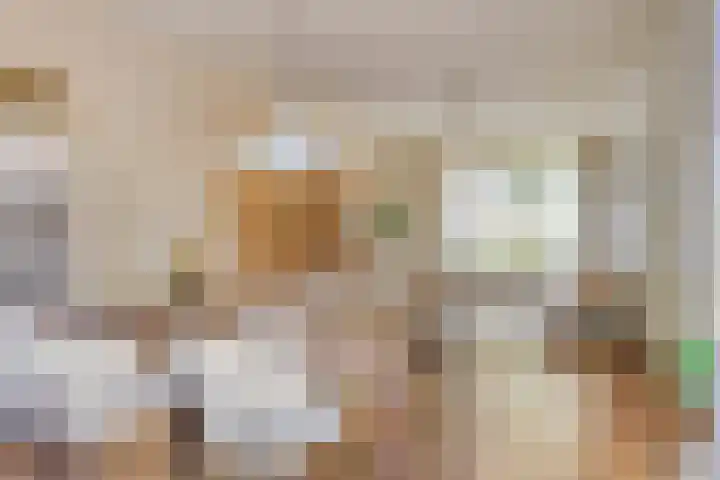 Rameaustraat 6 Eindhoven thumbnail 14