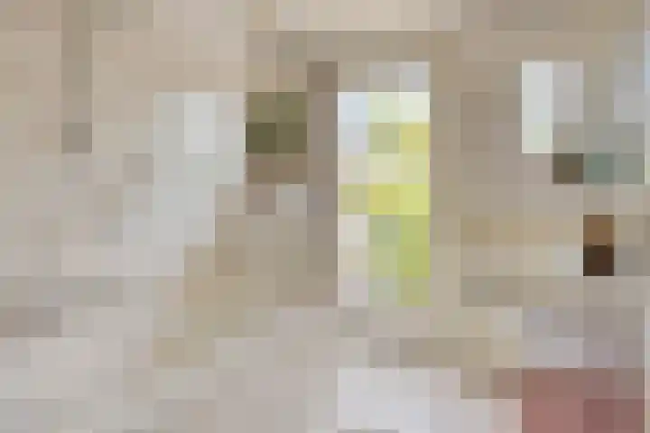 Rameaustraat 6 Eindhoven thumbnail 26