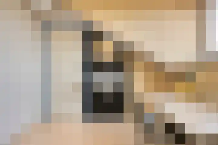 Rameaustraat 6 Eindhoven thumbnail 30