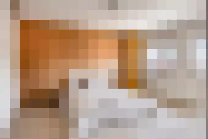 Rameaustraat 6 Eindhoven thumbnail 31