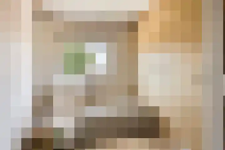 Rameaustraat 6 Eindhoven thumbnail 33