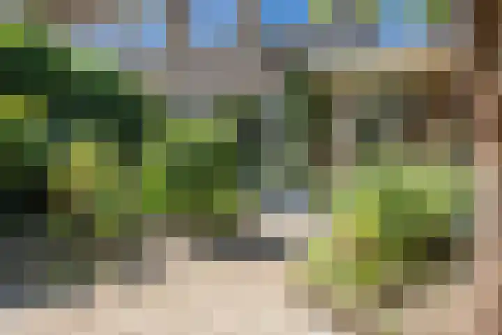 Rameaustraat 6 Eindhoven thumbnail 34