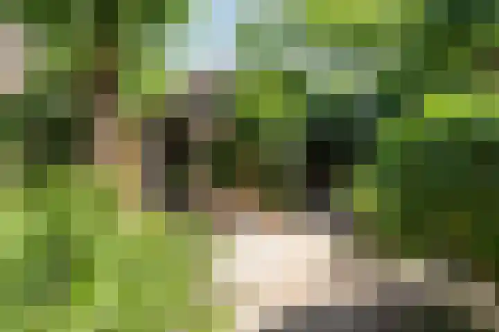 Rameaustraat 6 Eindhoven thumbnail 36