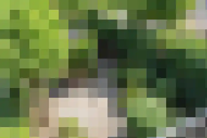 Rameaustraat 6 Eindhoven thumbnail 38