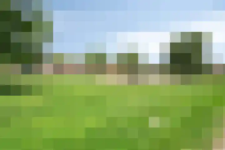 Rameaustraat 6 Eindhoven thumbnail 39