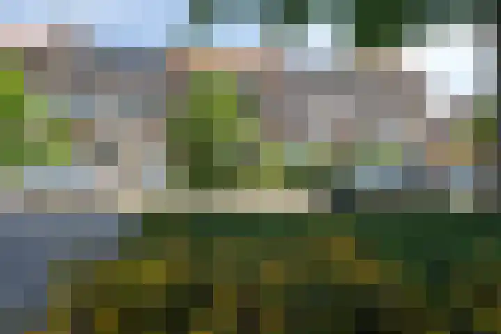 Rameaustraat 6 Eindhoven thumbnail 6