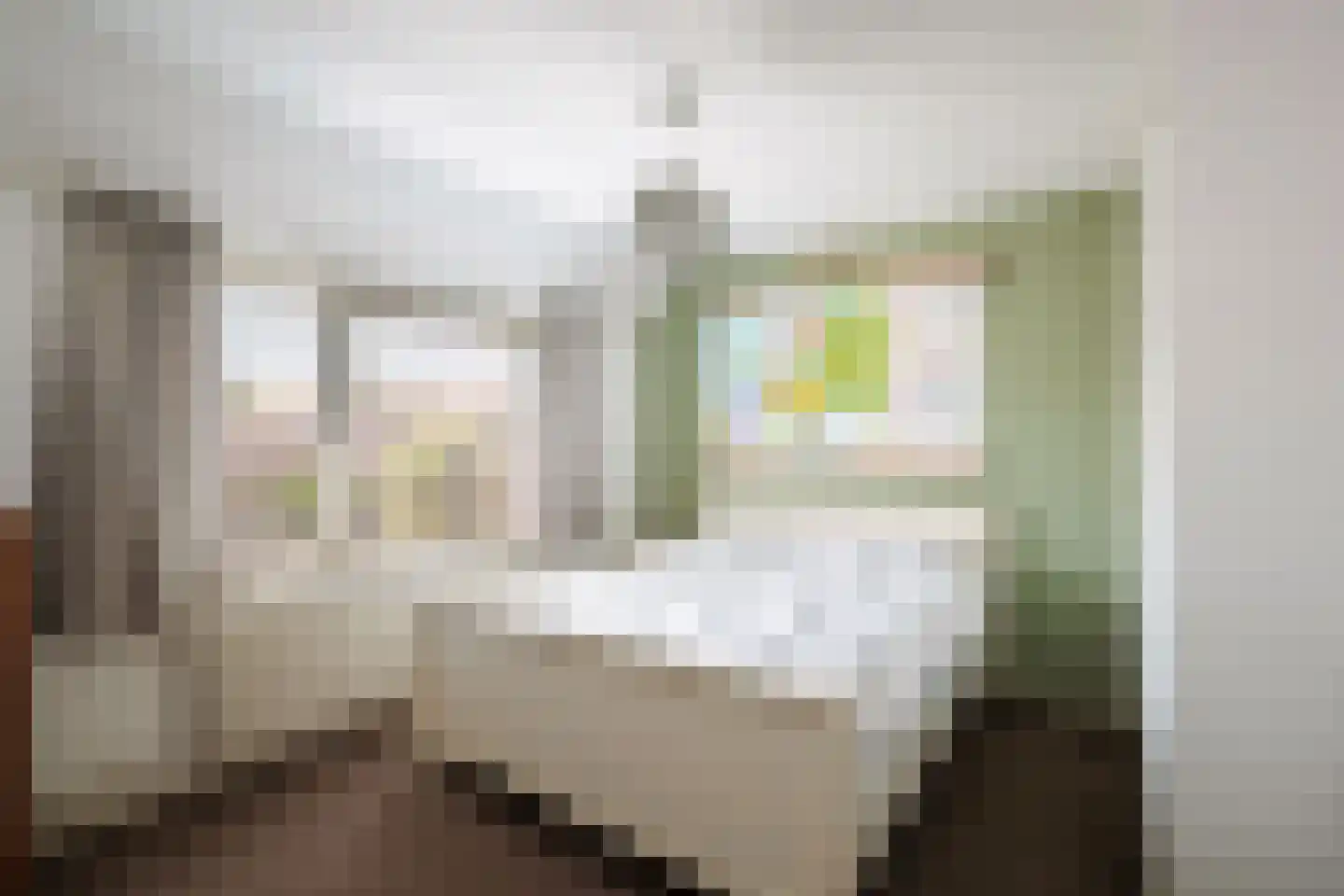 Ramelestraat 26 Deventer thumbnail 17