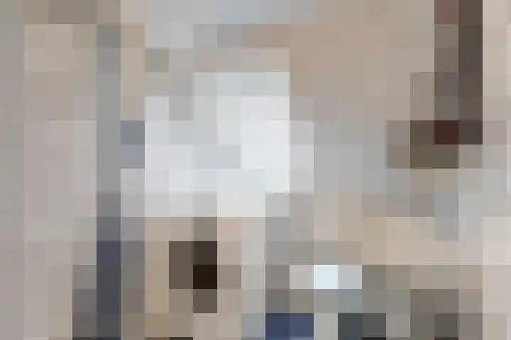 Ramen 12 Hoorn thumbnail 18