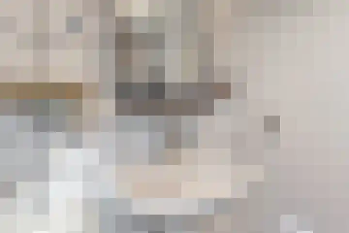 Ramen 12 Hoorn thumbnail 19