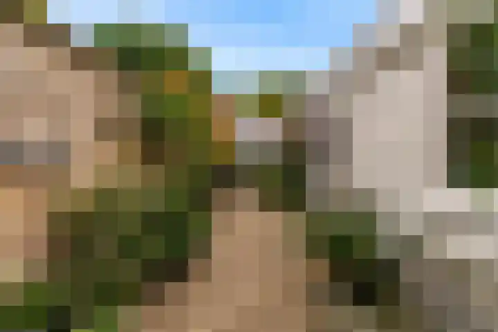 Ramen 12 Hoorn thumbnail 24