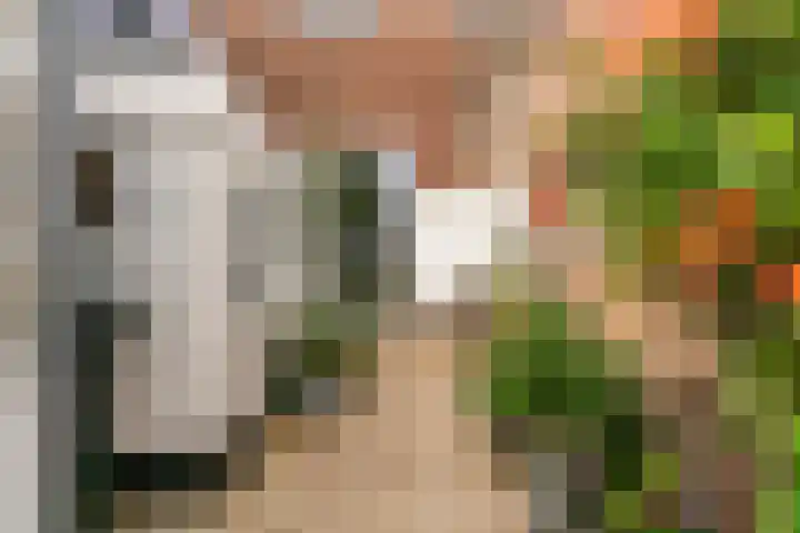 Ramen 12 Hoorn thumbnail 25