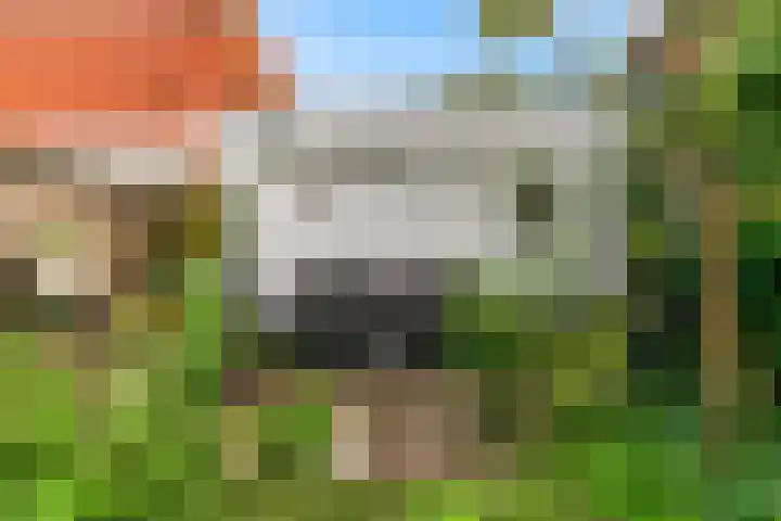 Ramen 12 Hoorn thumbnail 26