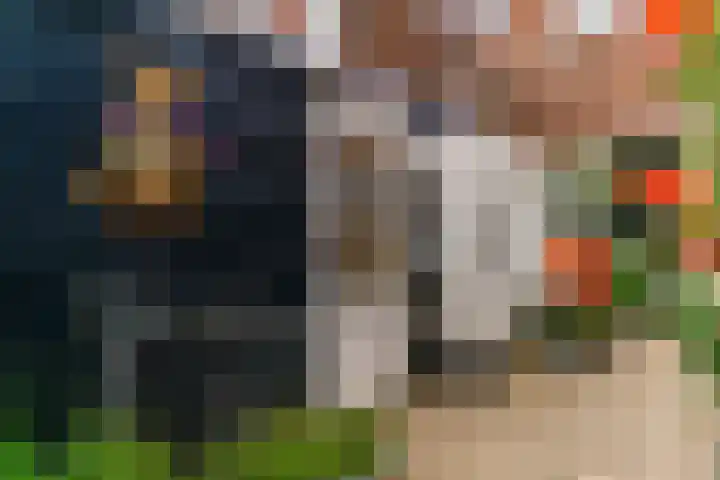 Ramen 12 Hoorn thumbnail 28