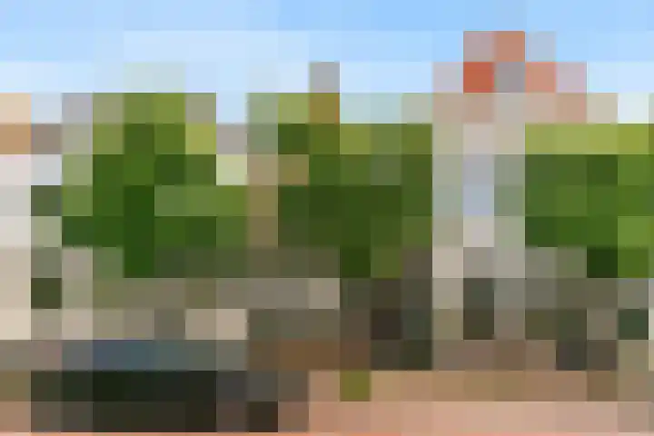 Ramen 12 Hoorn thumbnail 35