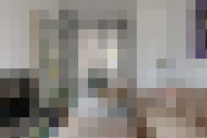Ramen 12 Hoorn thumbnail 5