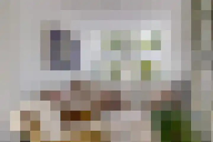Ramen 12 Hoorn thumbnail 7