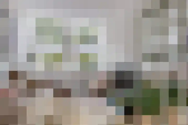 Ramen 12 Hoorn thumbnail 8
