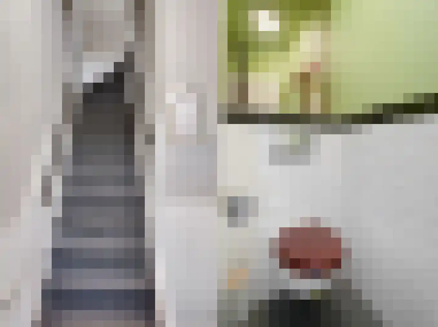 Ramen 16 Alkmaar thumbnail 20