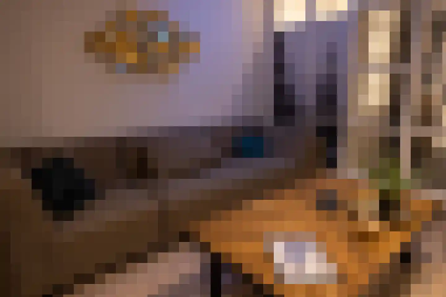 Ramen 16 Alkmaar thumbnail 38