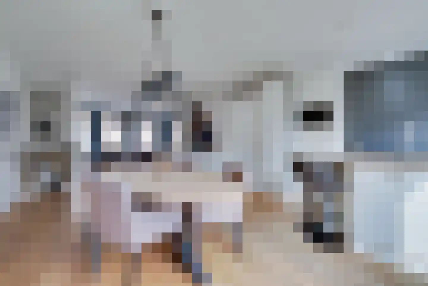 Ramen 16 Alkmaar thumbnail 4