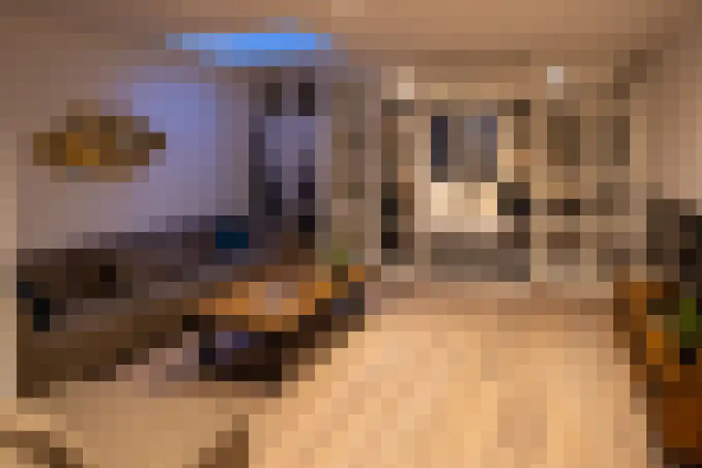 Ramen 16 Alkmaar thumbnail 40