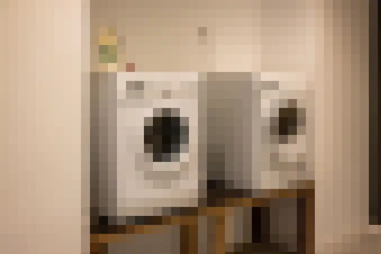 Ramen 16 Alkmaar thumbnail 44