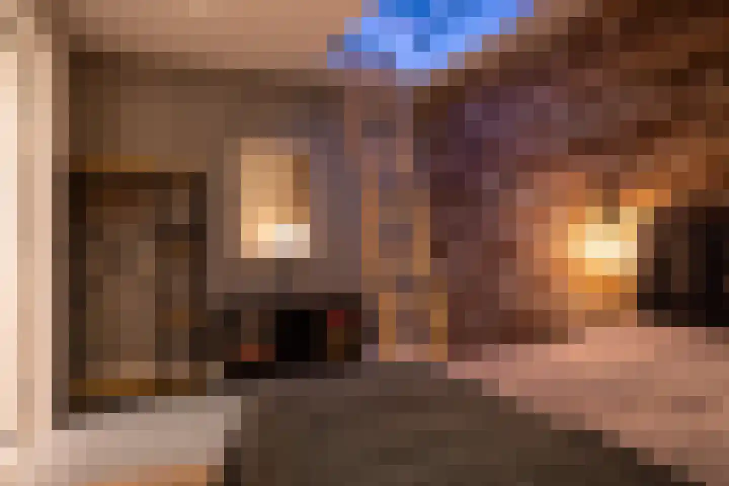 Ramen 16 Alkmaar thumbnail 46