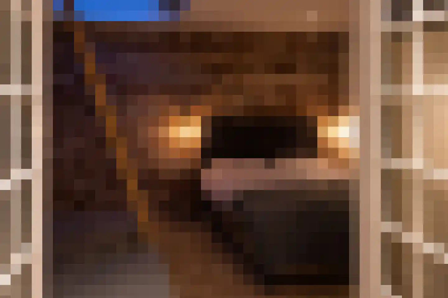 Ramen 16 Alkmaar thumbnail 48