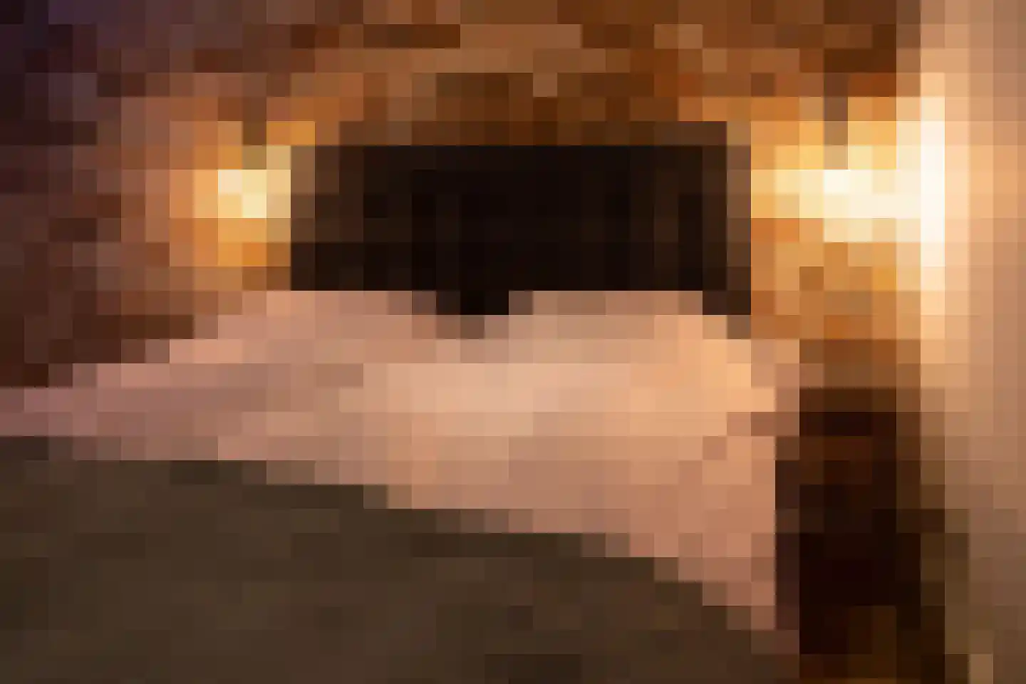 Ramen 16 Alkmaar thumbnail 49