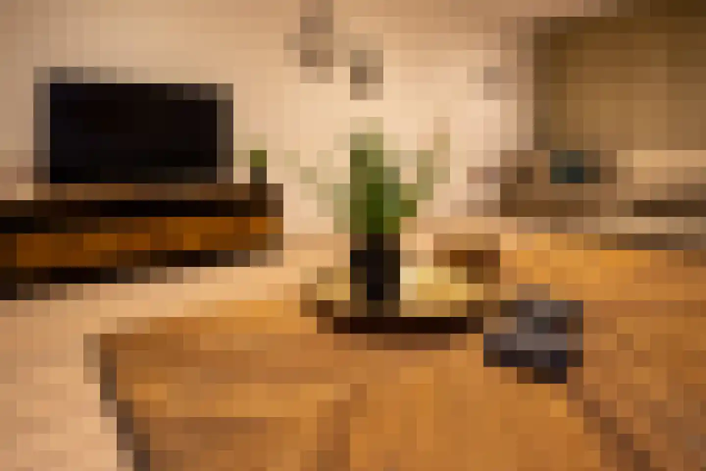 Ramen 16 Alkmaar thumbnail 55