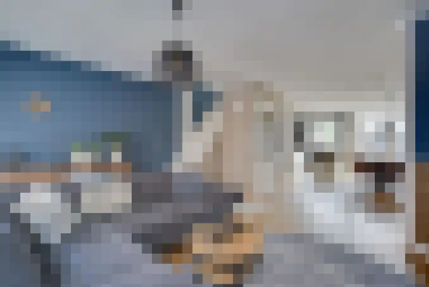 Ramen 16 Alkmaar thumbnail 7