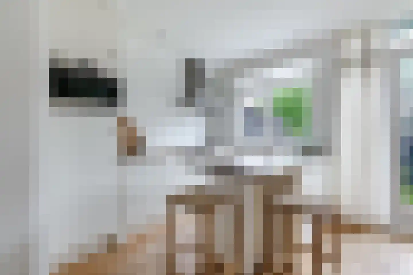 Ramen 18 Alkmaar thumbnail 18