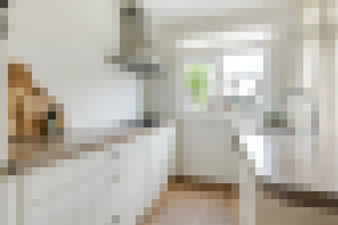 Ramen 18 Alkmaar thumbnail 19