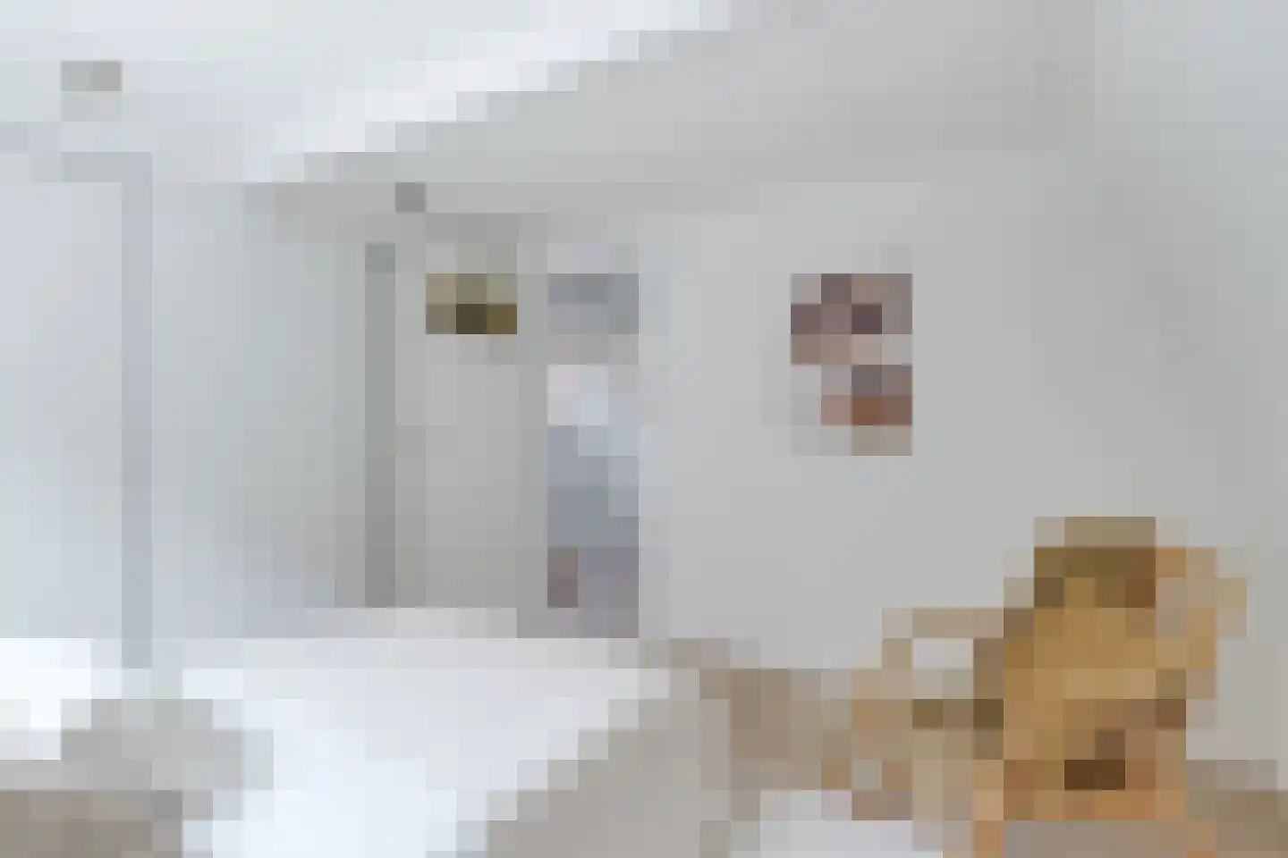Ramen 18 Alkmaar thumbnail 26