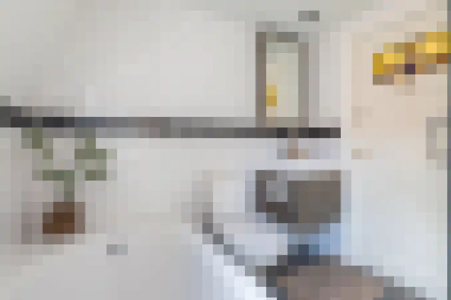 Ramen 18 Alkmaar thumbnail 33
