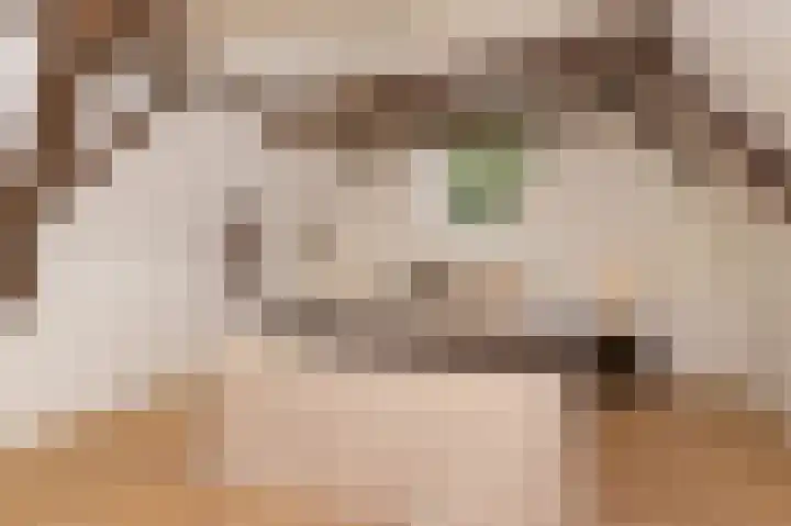Ramen 33 A Hoorn thumbnail 26