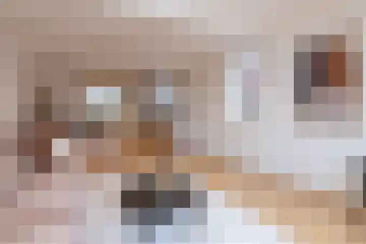 Ramen 33 A Hoorn thumbnail 7