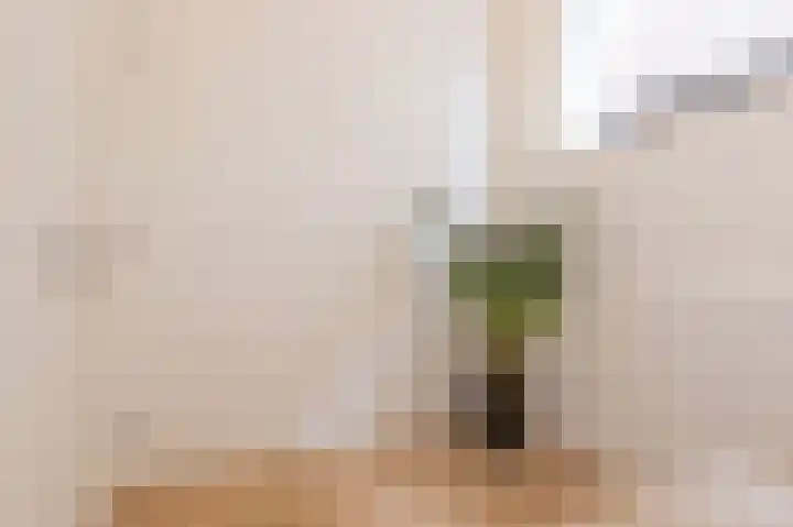 Ramen 33 Hoorn thumbnail 22