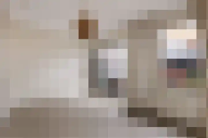 Ramen 36 Alkmaar thumbnail 18