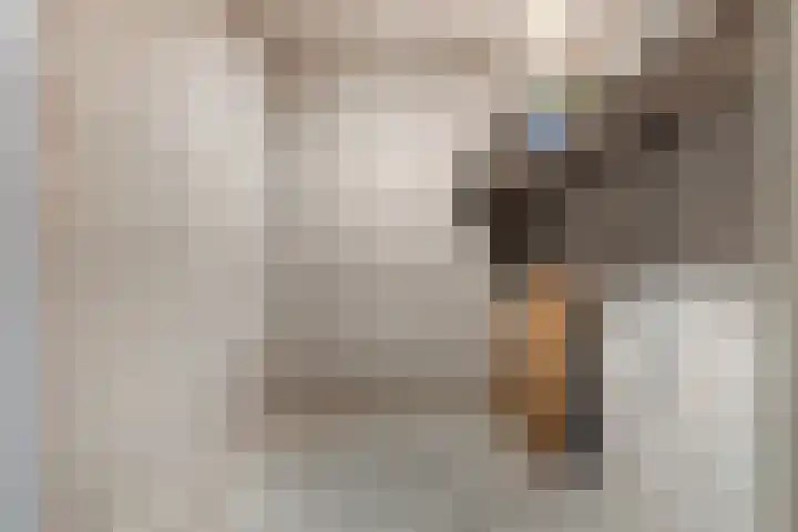 Ramen 36 Alkmaar thumbnail 24