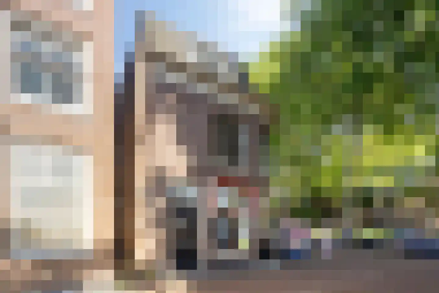 Ramen 37 Hoorn thumbnail 17