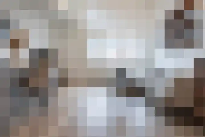 Ramen 40 Alkmaar thumbnail 10